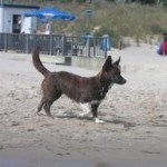 Oh so viel Wasser! Jessie