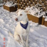 Eddy Eddy (Vermont)