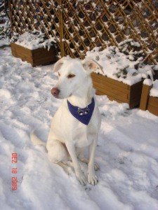 Eddy (Vermont)