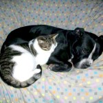 Hugo und Lady Hugo und Lady