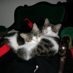 Hugo und Uschi Hugo und Uschi