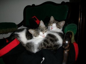 Hugo und Uschi