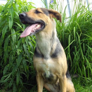 Lena