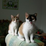 Peachy und Pepina Peachy und Pepina