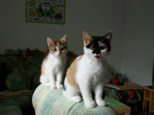 Peachy und Pepina Peachy und Pepina