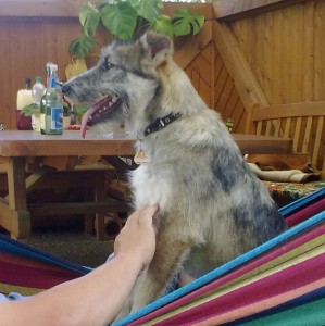 Roxy Roxy