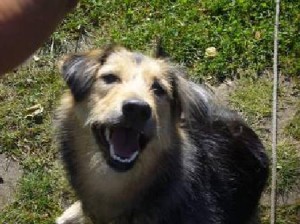 Berta