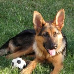 uschi Uschi