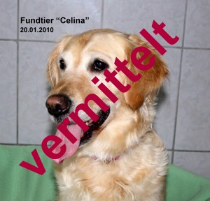 Celina-2