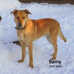 Samy