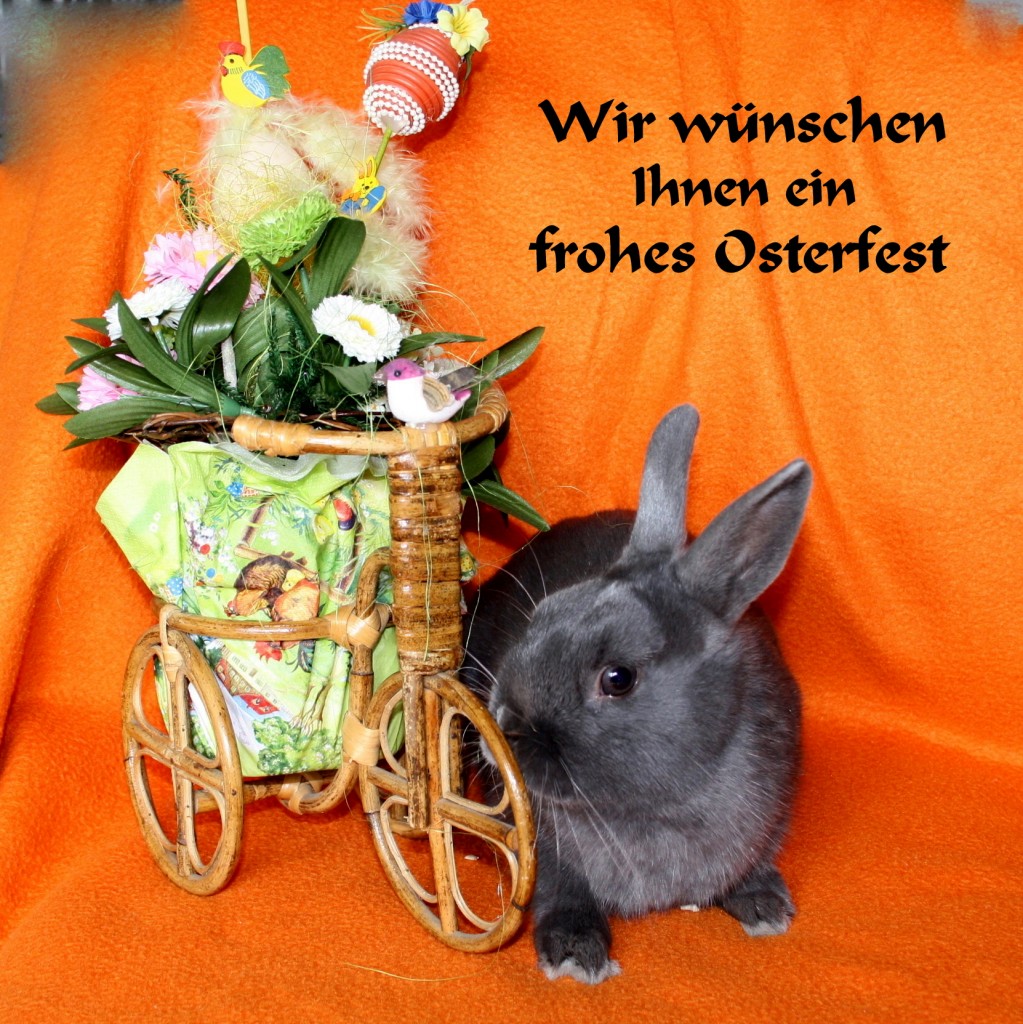 frohe Ostern
