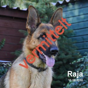Raja Raja
