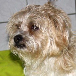 Fundtier Melchor Fundtier Melchor