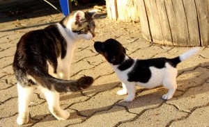 Spielstunde Spielstunde