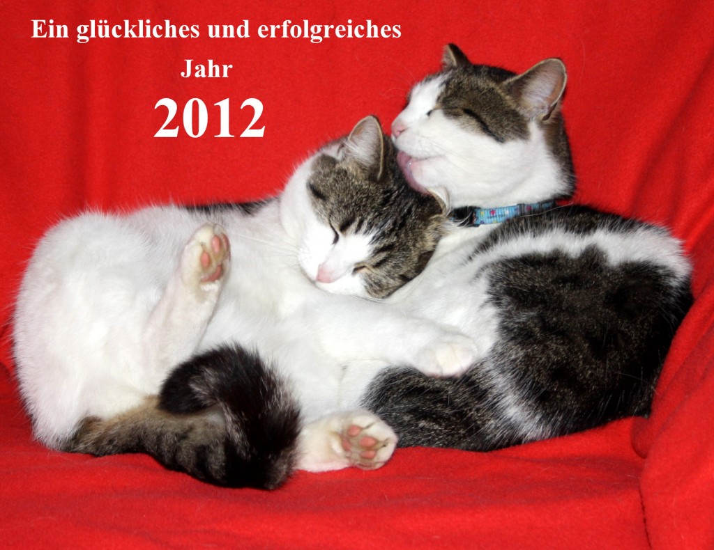 Neujahr 2012