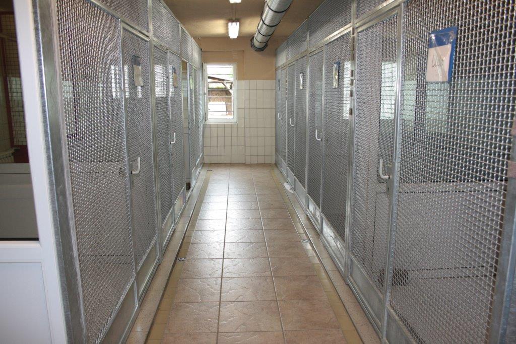 Hundehalle neu gebaut