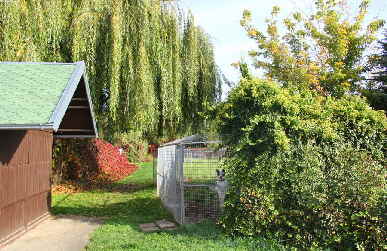 Herbstimpressionen