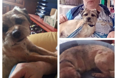 IMG_20250330_172600-COLLAGE