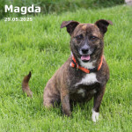 Magda