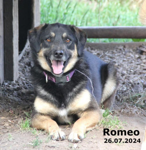 Romeo