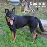 Casimir (vermittelt)