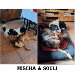Mischa und Souli
