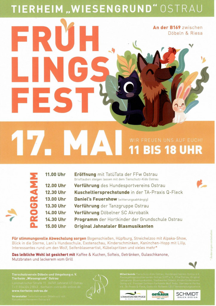 Flyer TH-Fest 2025