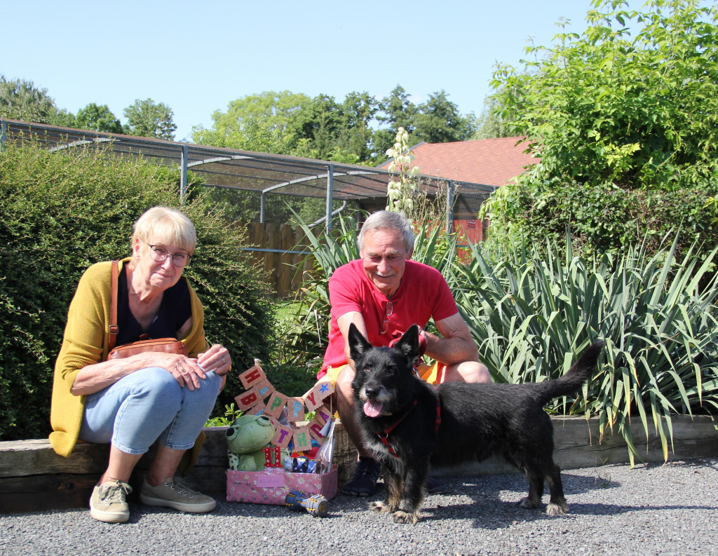 Happy End für Linus