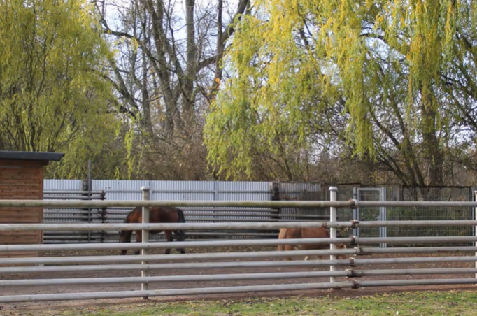 Paddock für unsere Ponys wurde gesponsert