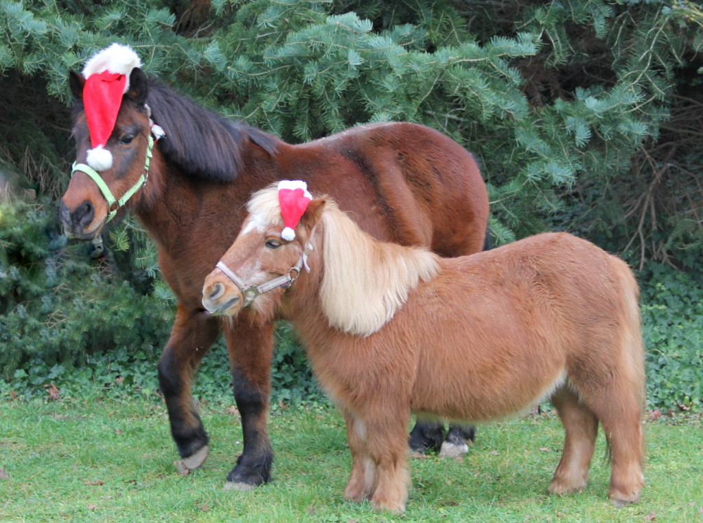 Weihnachtszeit
