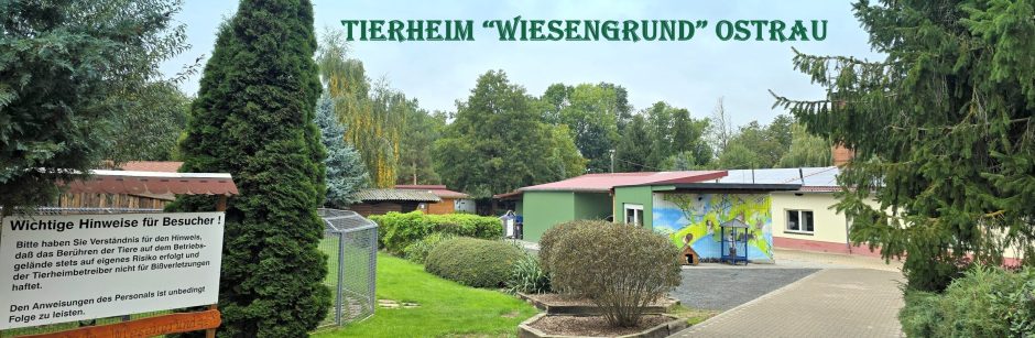 Tierheim "Wiesengrund" Ostrau